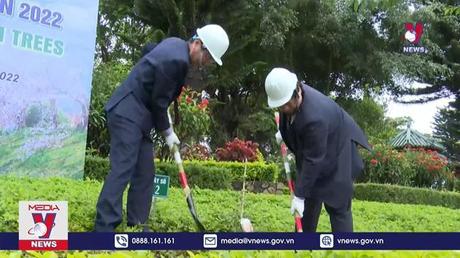 Gia Lai tổ chức Lễ trồng cây hoa anh đào
