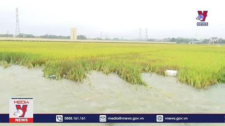 Mưa lớn gây sạt lở và ngập úng tại Vĩnh Phúc