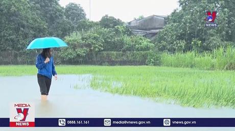 Mưa lớn gây thiệt hại ở nhiều tỉnh phía Bắc