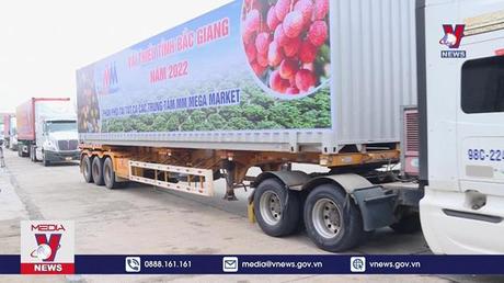 Xúc tiến tiêu thụ vải thiều năm 2022 