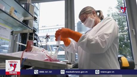 Chuyên gia Nam Phi nhận định về bệnh đậu mùa khỉ 