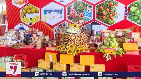 Bản tin thời sự 11h ngày 26/5/2022