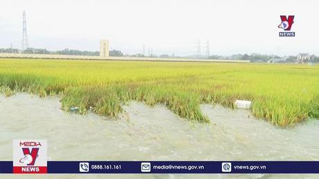 Thiệt hại nặng nề do mưa lũ