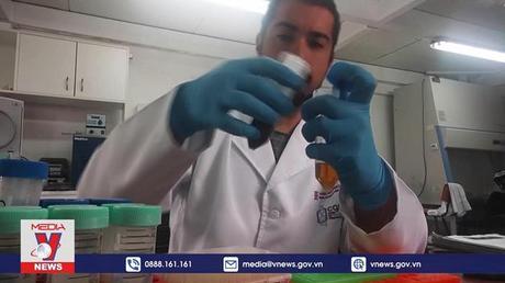 Phát hiện vi khuẩn có gene kháng kháng sinh