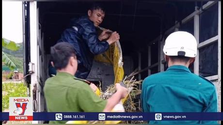 Lâm Đồng kịp thời di dời người dân và tài sản đến nơi an toàn