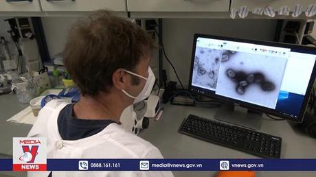 Thế giới đã có gần 220 ca mắc đậu mùa khỉ ngoài châu Phi