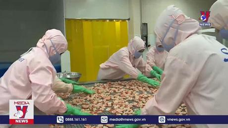 Xuất khẩu thủy sản sang Australia dự báo tăng mạnh