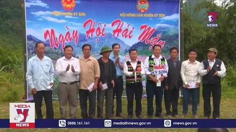 Nghệ An xúc tiến, quảng bá Mận tam hoa