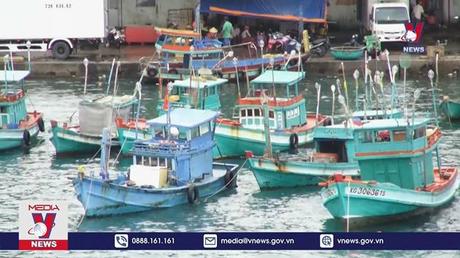 Cả nước sẽ có 184 cảng cá vào năm 2050