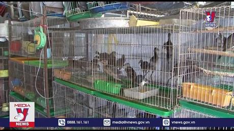 Bảo tồn chim hoang dã, chim di cư