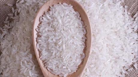 Gạo ST24, ST25 đi Mỹ, châu Âu giá 1.000 USD