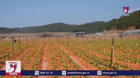 Lâm Đồng phê duyệt 130 tỷ đồng nạo vét lòng hồ Đankia