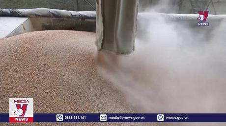 Thổ Nhĩ Kỳ - Nga - Ukraine đàm phán thiết lập hành lang xuất khẩu ngũ cốc    