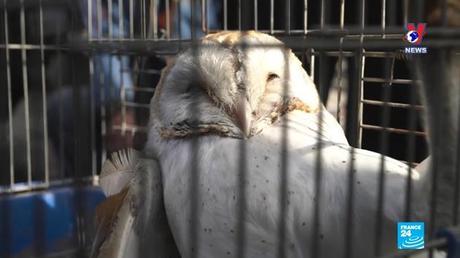 Đường dây nóng 389 ngày 28/5/2022