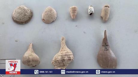 Phát hiện tàn tích của thành phố Maya cổ đại ở miền nam Mexico