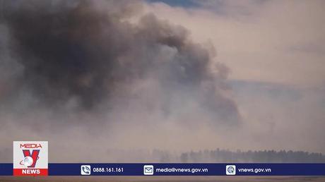 Cơ quan quản lý rừng của Mỹ thừa nhận gây cháy rừng