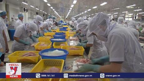 Chủ động ứng phó với Phòng vệ thương mại