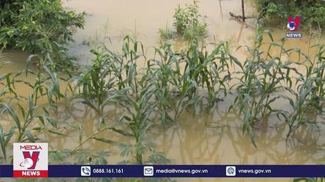 Bản tin Thời sự 8h ngày 29/5/2022