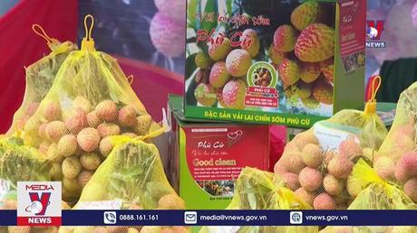 Hưng Yên tổ chức phiên chợ vải lai chín sớm năm 2022