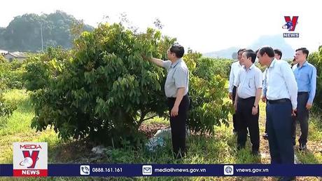 Bản tin thời sự 22h ngày 28/5/2022