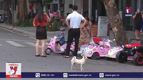 Ngày đầu cấm chó mèo vào phố đi bộ Hà Nội