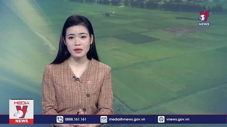 Nông nghiệp giảm năng suất do thời tiết bất thường