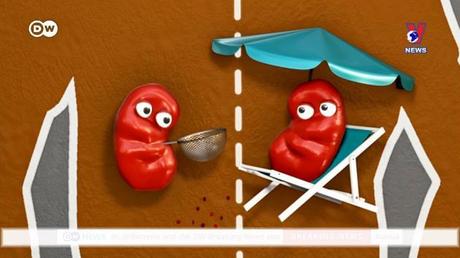 Tạp chí toàn cầu số 527 ngày 30/5/2022 