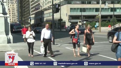 Nghiên cứu về thuốc điều trị bệnh đậu mùa khỉ