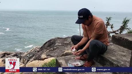 Bản tin thời sự 17h ngày 01/6/2022