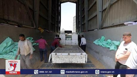 LHQ thúc đẩy đối thoại để giải quyết thiếu hụt ngũ cốc