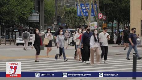 Hàn Quốc tiến hành bầu cử địa phương và quốc hội bổ sung