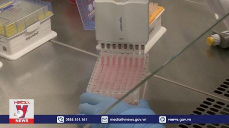 Cảnh báo về sự lây lan âm thầm của đậu mùa khỉ