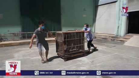 Thay thế động vật hoang dã trên sân khấu xiếc