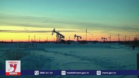 OPEC+ có thể bù đắp sản lượng dầu sụt giảm từ Nga
