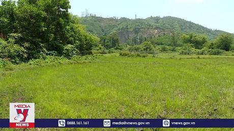 Bản tin thời sự 08h ngày 03/6/2022