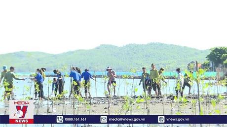 Phú Yên trồng rừng ngập mặn tại Thắng cảnh Quốc gia đầm Ô Loan