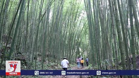 Bắc Kạn nỗ lực đưa sản phẩm OCOP gắn với du lịch trải nghiệm