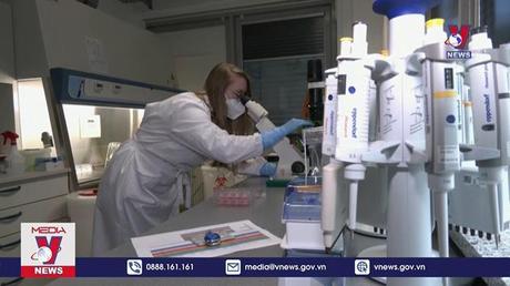 EMA đánh giá về đợt bùng phát bệnh đậu mùa khỉ 