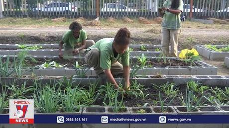 Người nghèo Brazil trồng rau ứng phó lạm phát