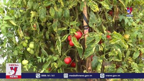 Chủ động ứng phó với mưa lớn