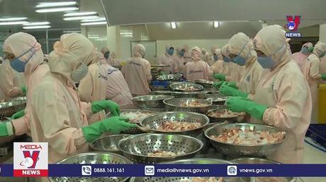 Xuất khẩu tôm sang Australia tăng kỷ lục