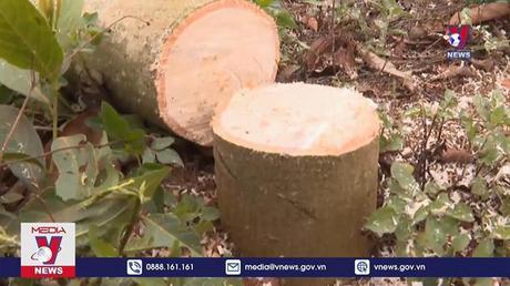 Đắk Nông thu hồi đất lấn chiếm ven quốc lộ 28