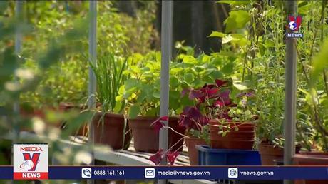 Chiến lược nông nghiệp đô thị của Singapore