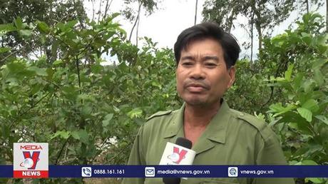 Rừng tràm Gáo Giồng chung tay bảo vệ động vật hoang dã