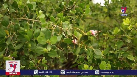 Bản tin Thời sự 6h ngày 05/6/2022