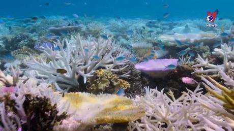 Thông điệp lịch sử ngày 05/6/2022: