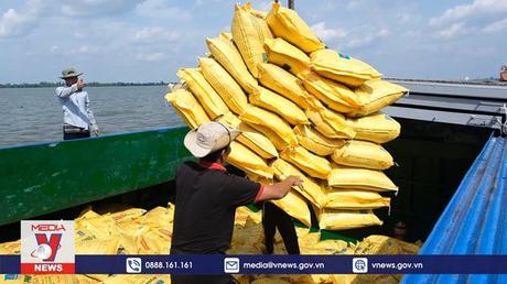 Tiêu điểm kinh tế ngày 05/6/2022
