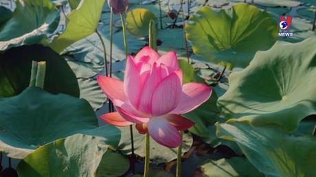 Học Bác mỗi ngày 05/6/2022: 