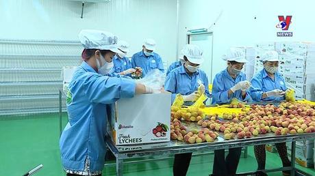 Bản tin Tiếng Pháp ngày 06/6/2022