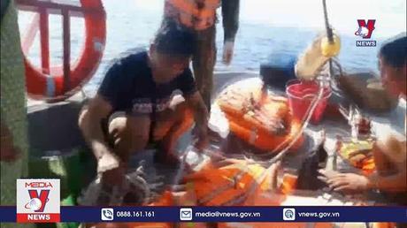 Tàu cá Quảng Nam bị đâm chìm khiến 3 người tử vong